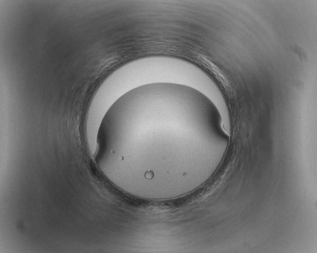 X0000116440209201001051211