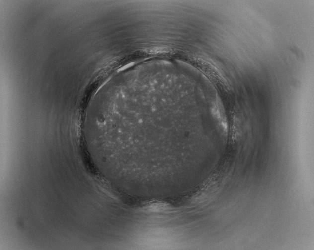 X0000116440210201001051211