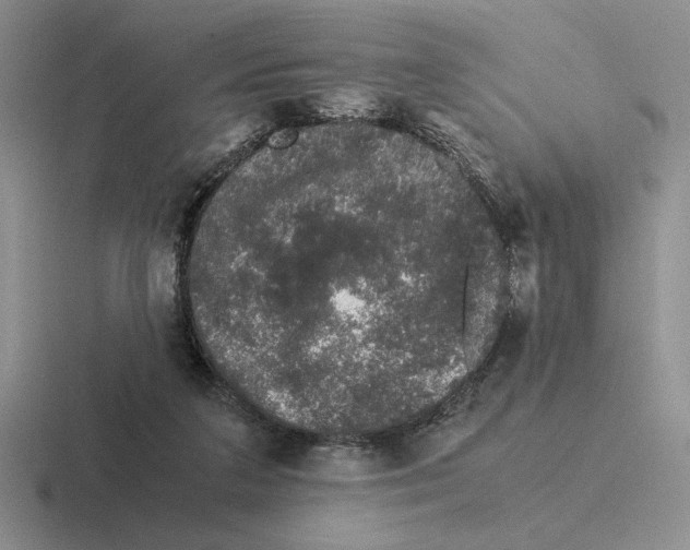 X0000116440211201001051211