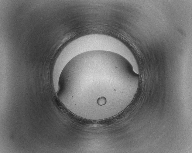 X0000116440212201001051211