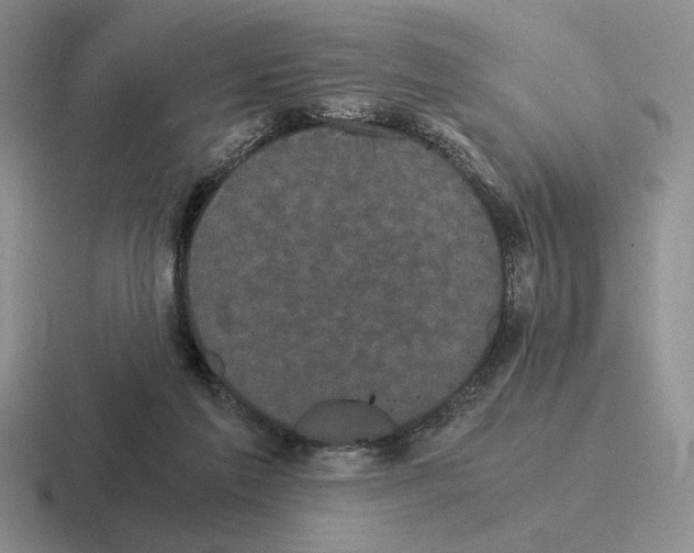 X0000116440213201001051211