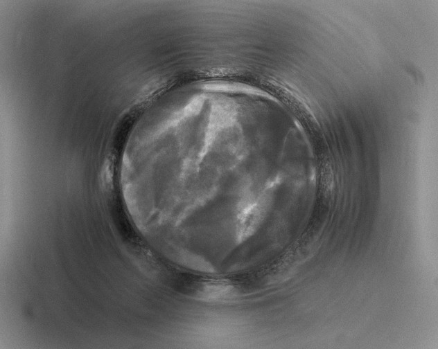 X0000116440214201001051211