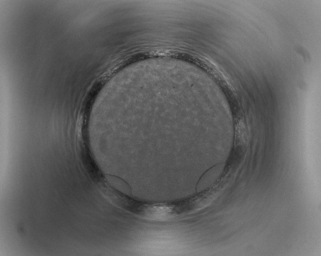 X0000116440217201001051211