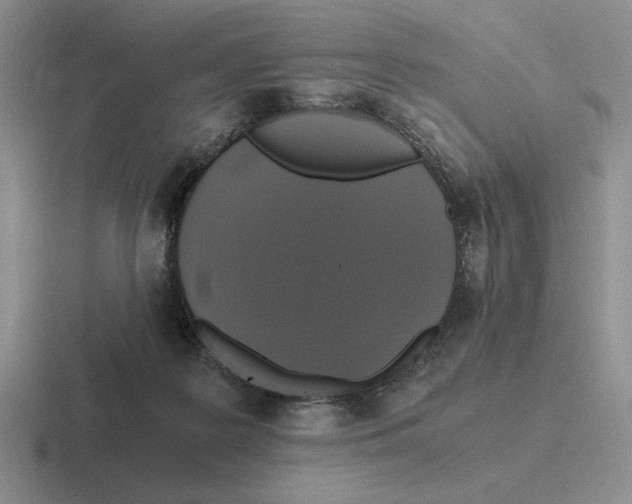 X0000116440219201001051211