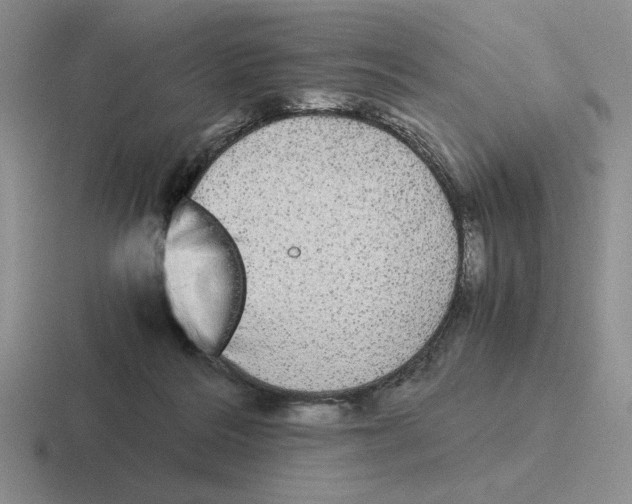 X0000116440220201001051211