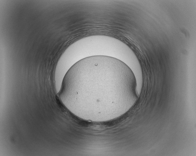 X0000116440221201001051211