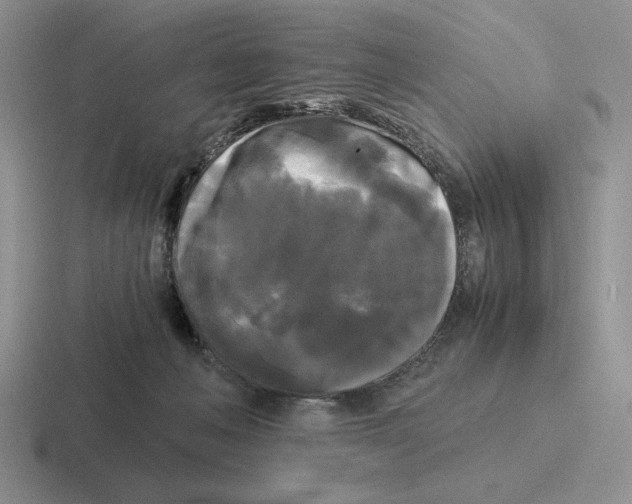 X0000116440222201001051211