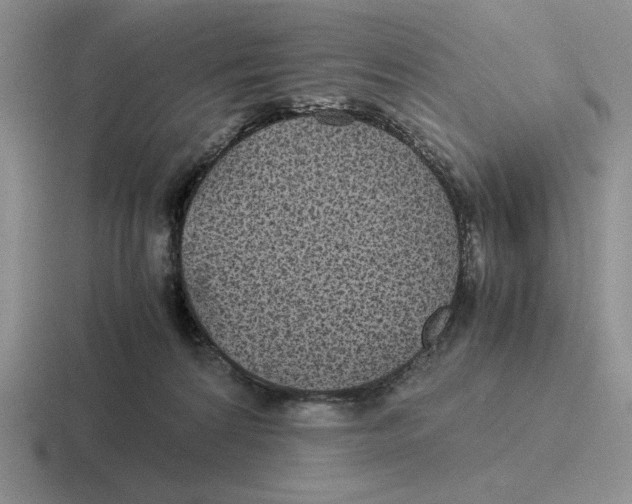 X0000116440224201001051211