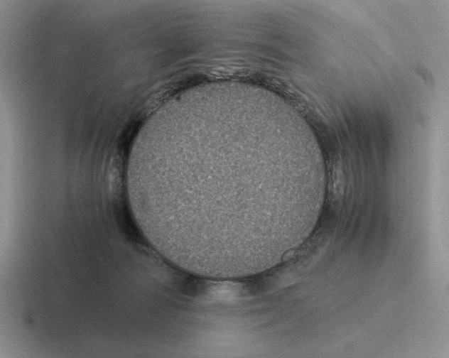 X0000116440226201001051211