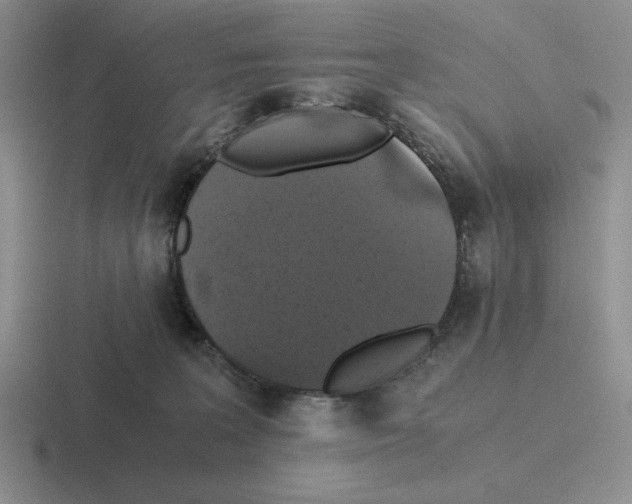 X0000116440227201001051211