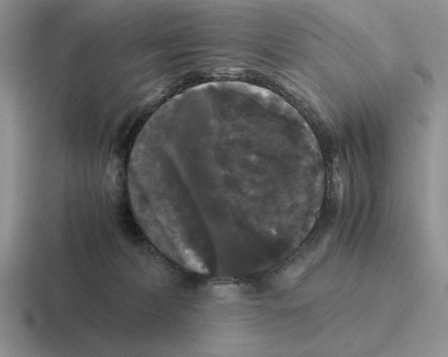 X0000116440228201001051211