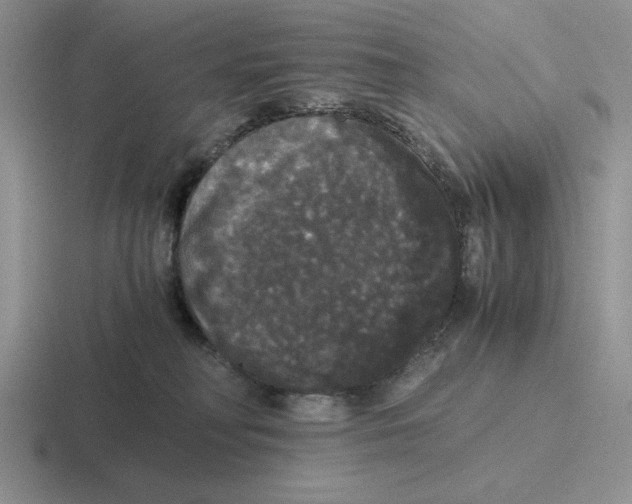 X0000116440230201001051211