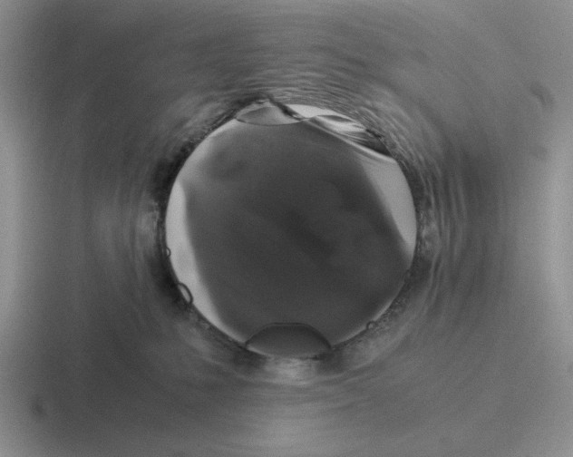 X0000116440231201001051211