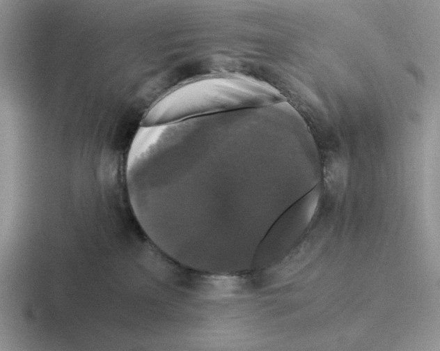 X0000116440233201001051211