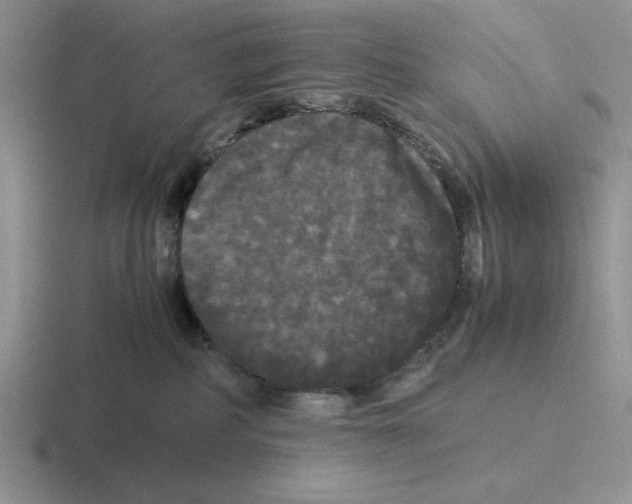 X0000116440234201001051211