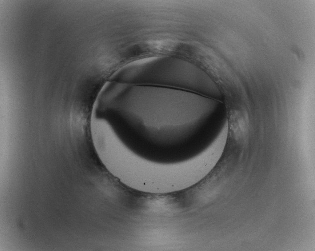 X0000116440235201001051211