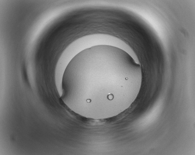 X0000116440239201001051211