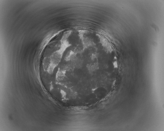 X0000116440241201001051210