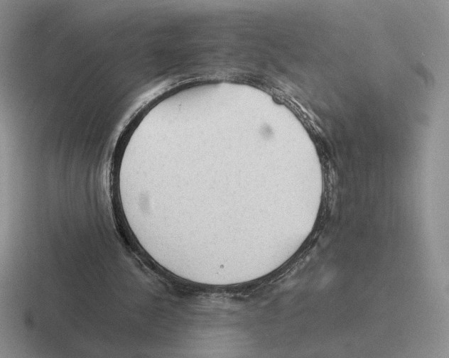 X0000116440244201001051210