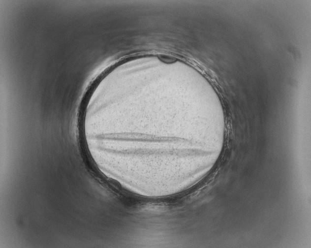 X0000116440248201001051210