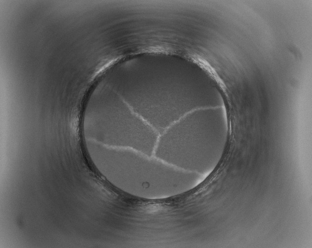 X0000116440249201001051210