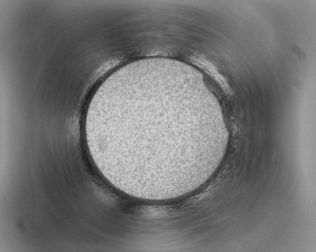 X0000116440250201001051210