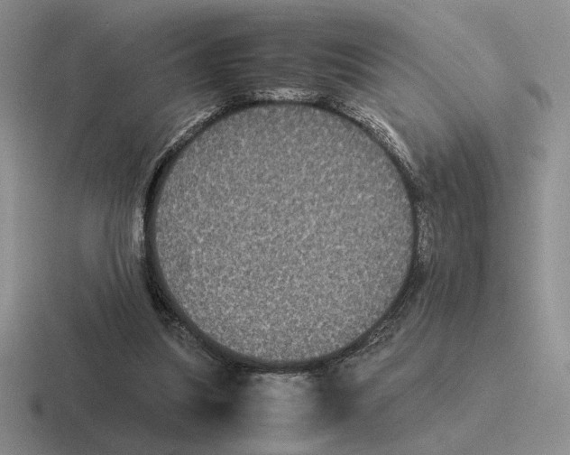 X0000116440251201001051210