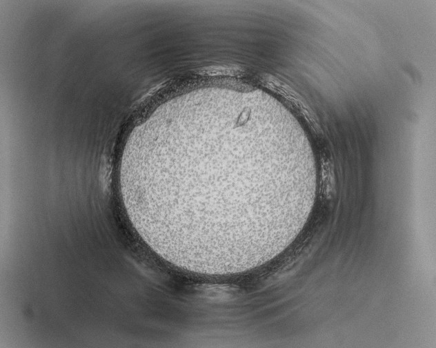 X0000116440255201001051210