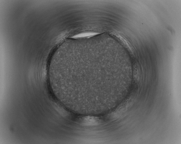 X0000116440261201001051210