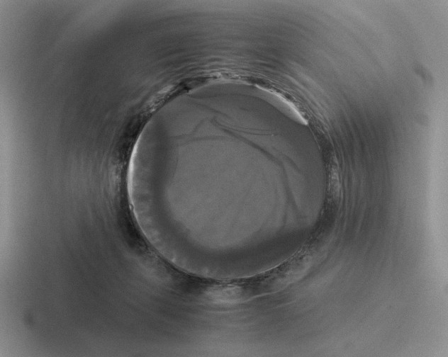 X0000116440271201001051210