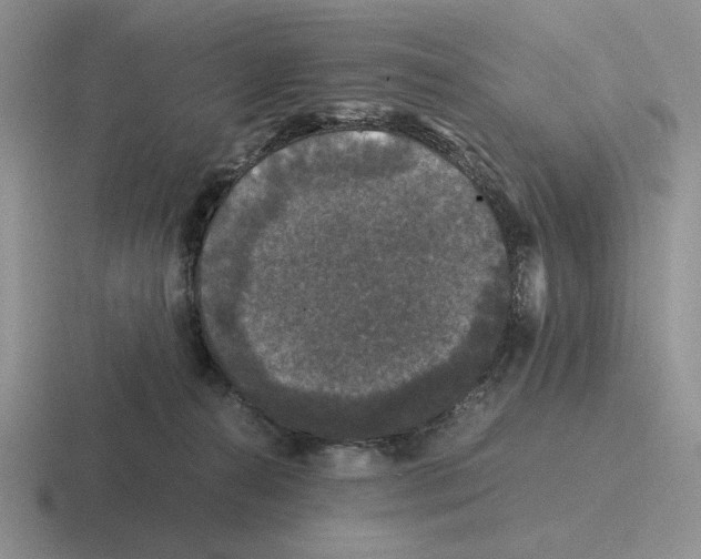 X0000116440272201001051210