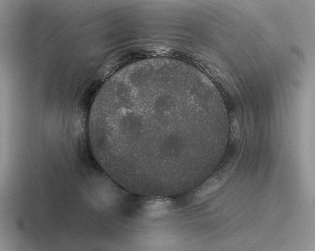 X0000116440274201001051210