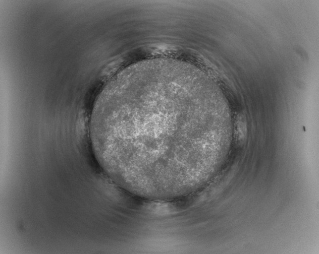 X0000116440276201001051210