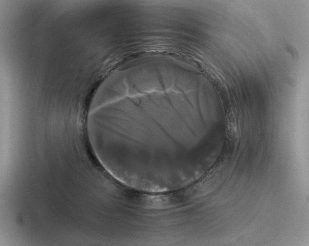 X0000116440277201001051210