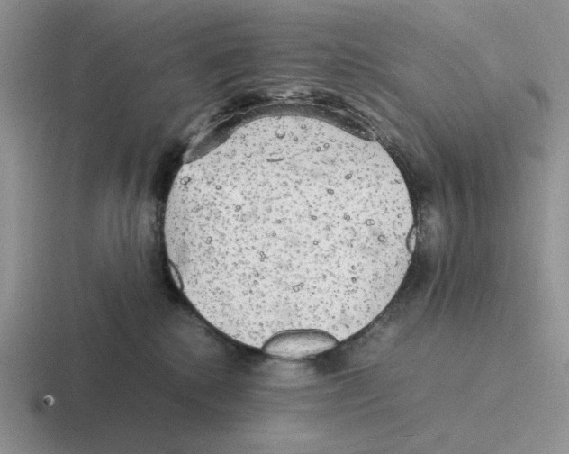 X0000116440280201001051211