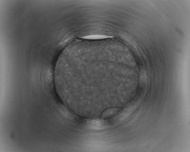 X0000116440282201001051211