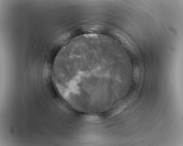 X0000116440284201001051211