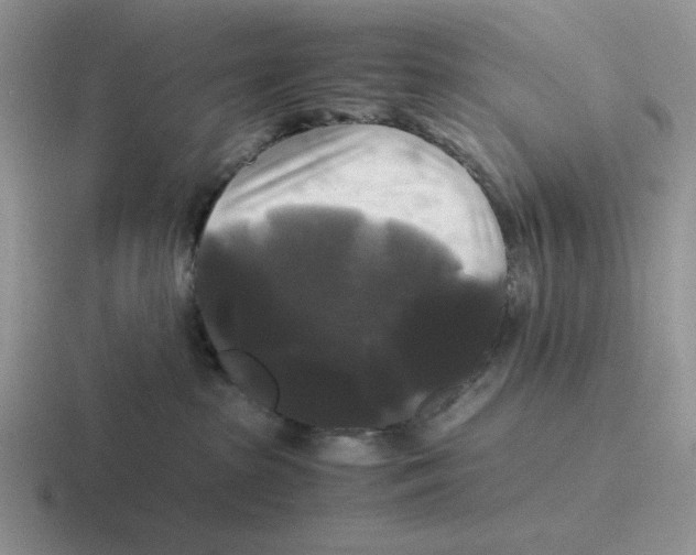 X0000116440285201001051211