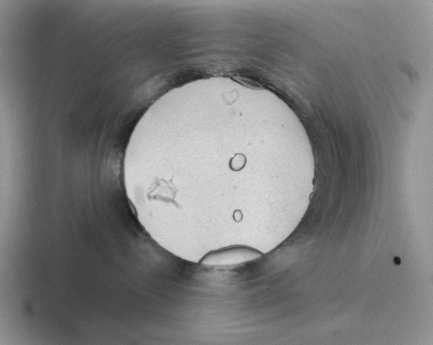 X0000116440288201001051211