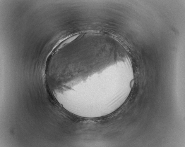 X0000116440290201001051210