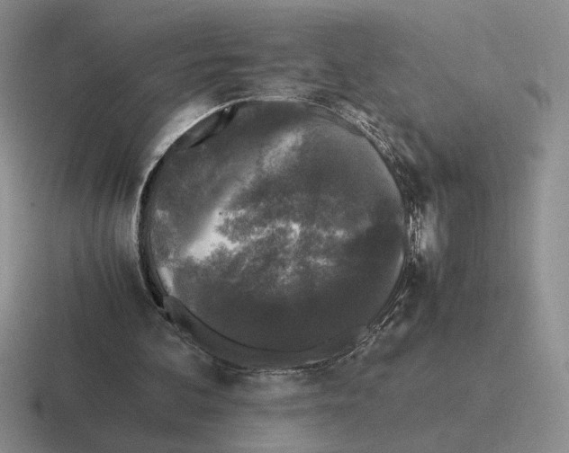 X0000116440292201001051210