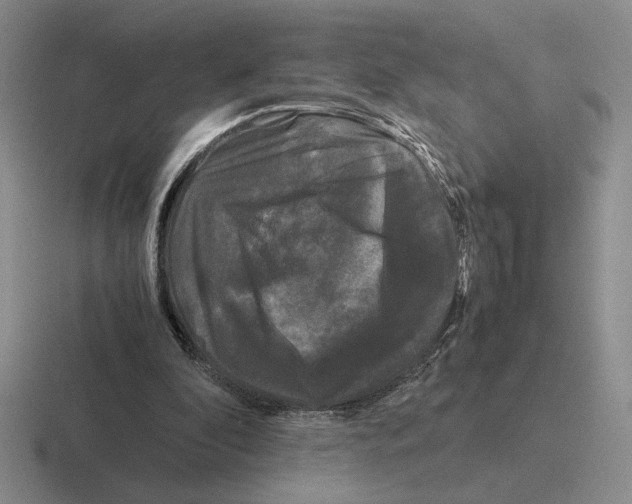 X0000116440296201001051210