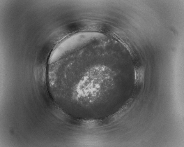 X0000116440301201001051210