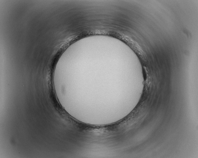 X0000116440306201001051210