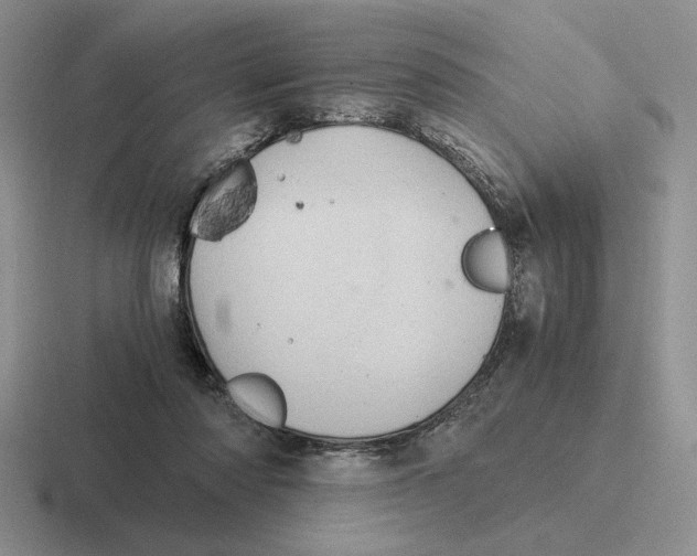 X0000116440310201001051210