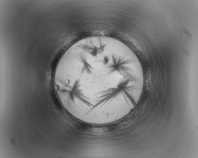 X0000116440314201001051210