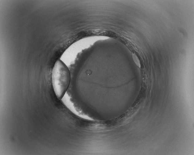 X0000116440319201001051210