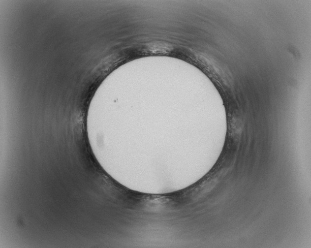 X0000116440321201001051210