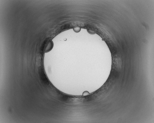 X0000116440323201001051210