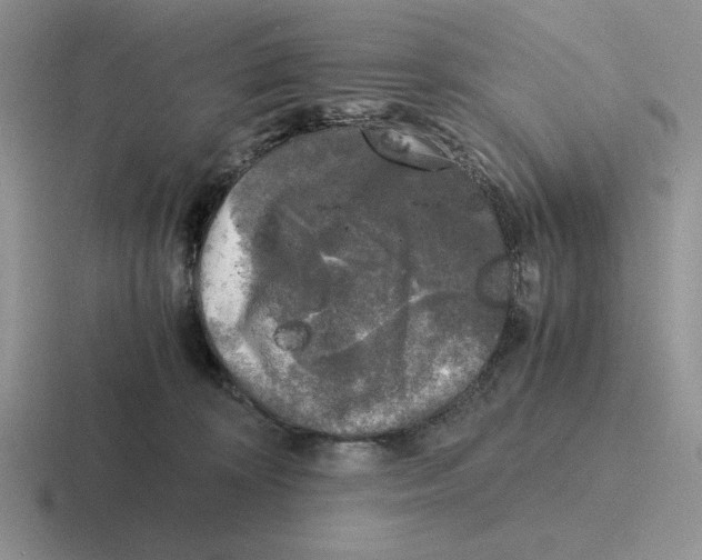 X0000116440324201001051210